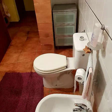 Rustico Stazione Apartment Lucca